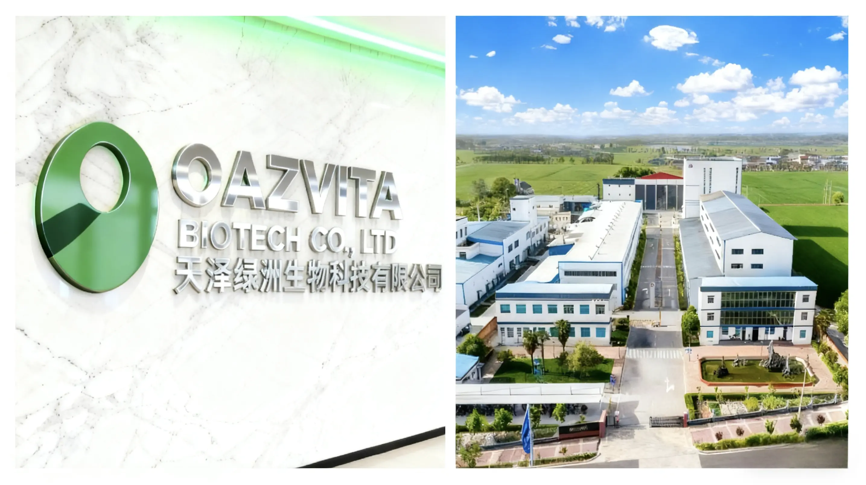 OAZVITA BIOTECH CO., LTD. OAZVITA BIOTECH CO., LTD.