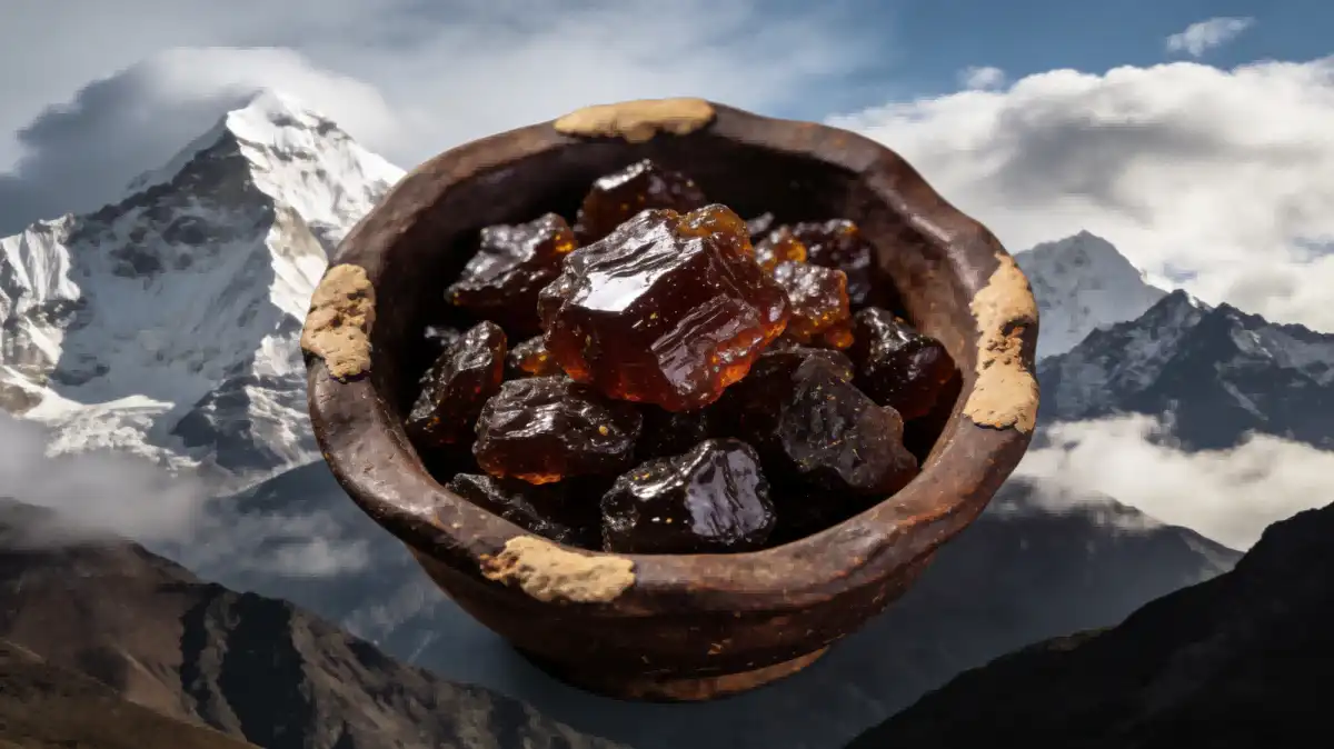 Shilajit Resin