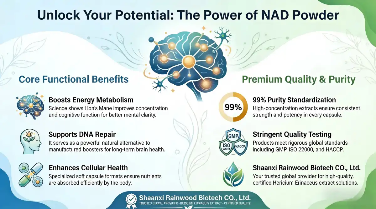 NAD Powder NAD Powder