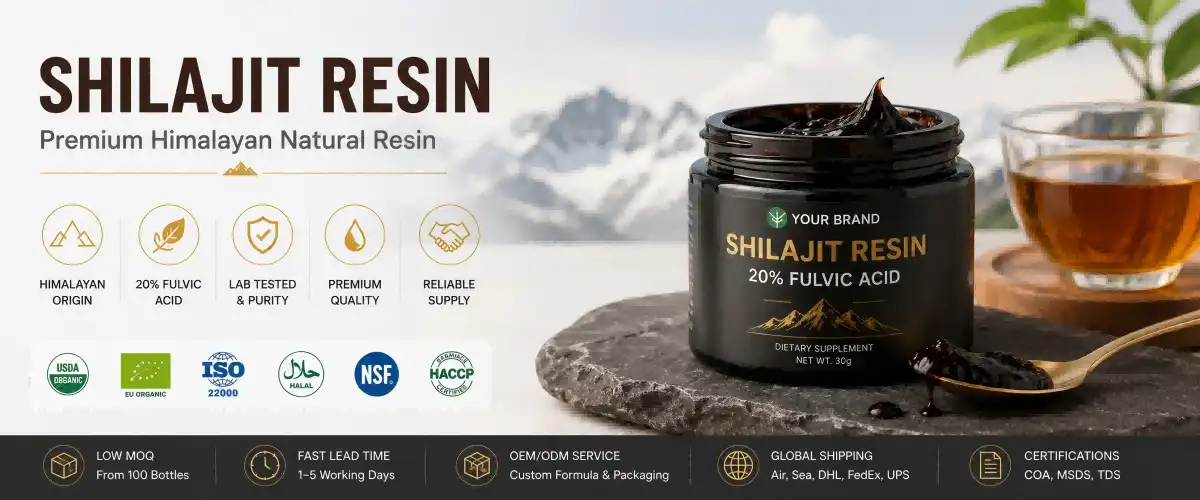 Shilajit Resin Shilajit Resin