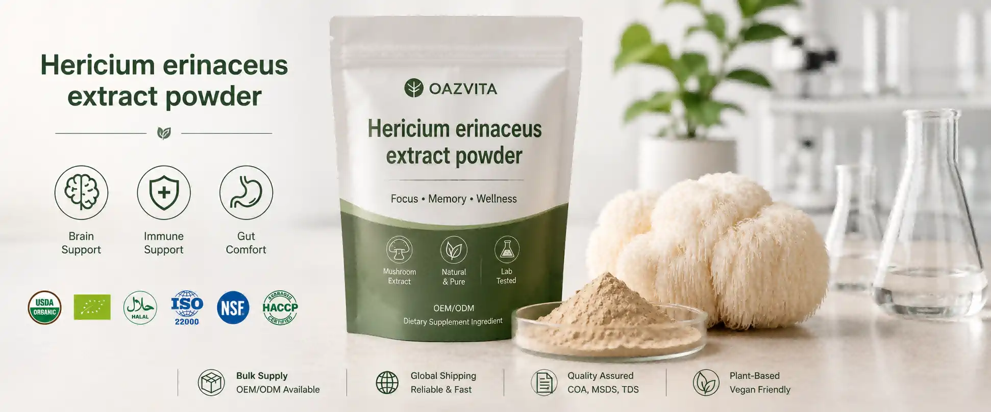 Hericium erinaceus extract powder Hericium erinaceus extract powder