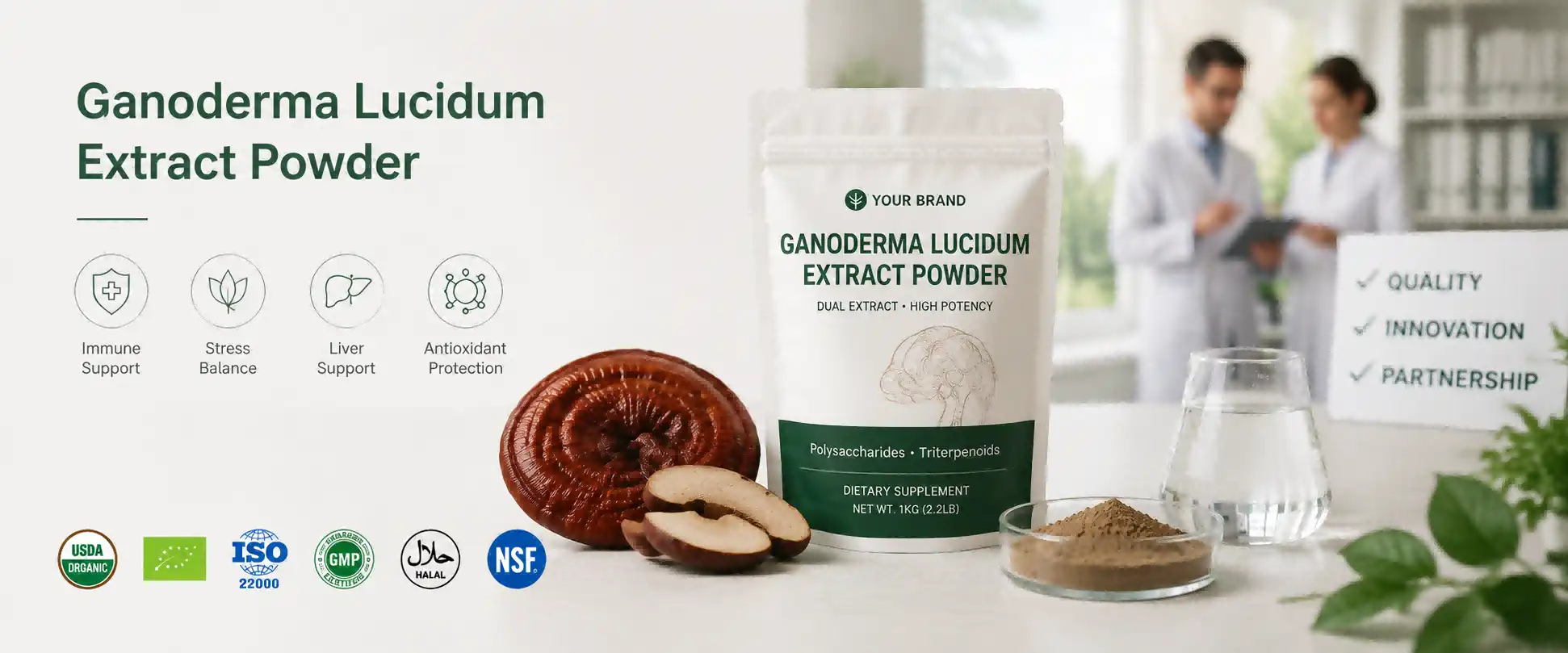 Ganoderma Lucidum Extract Powder