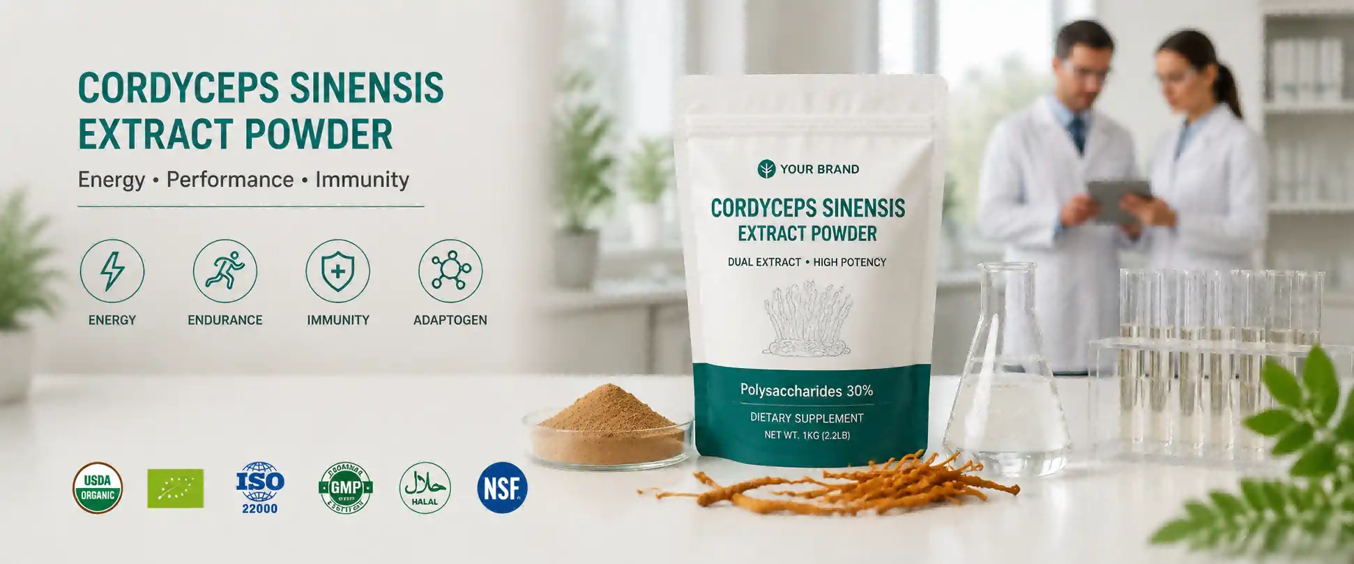 Cordyceps Sinensis Extract Powder