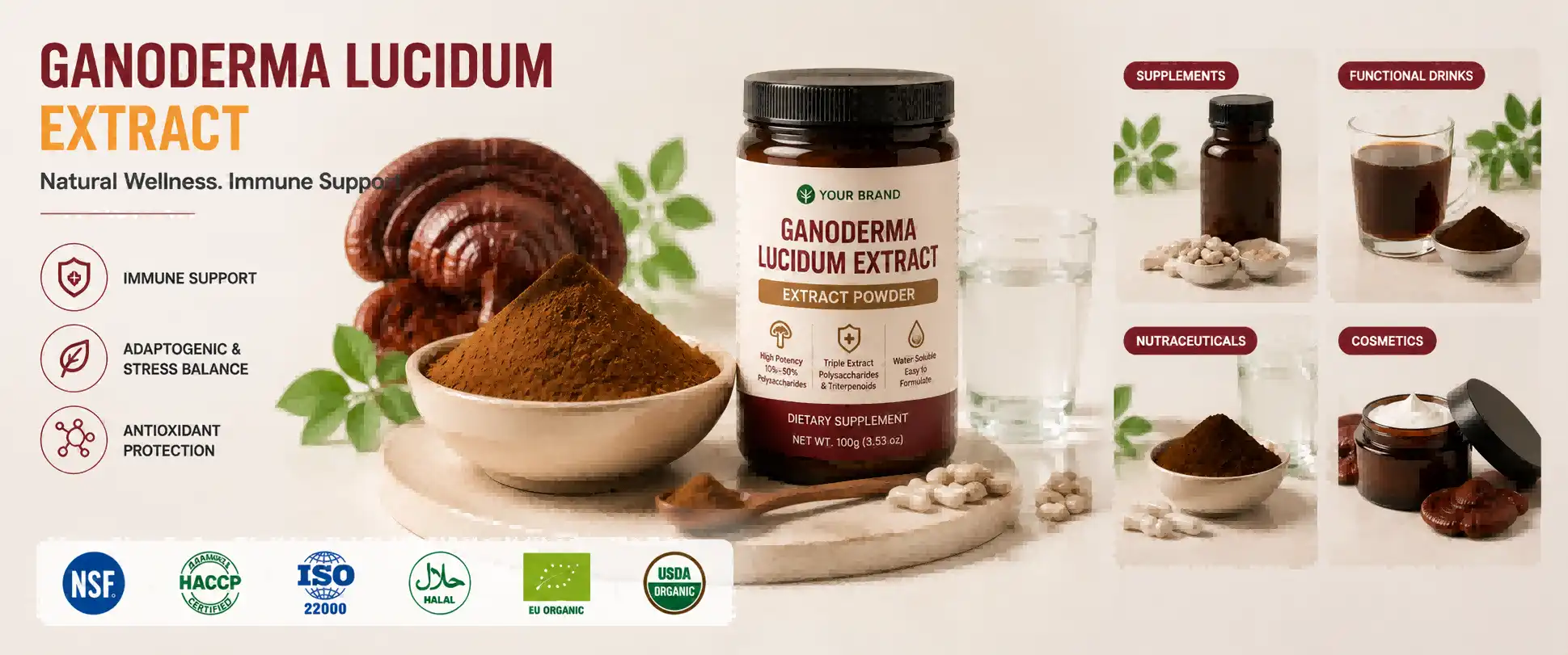 Ganoderma Lucidum Extract Powder