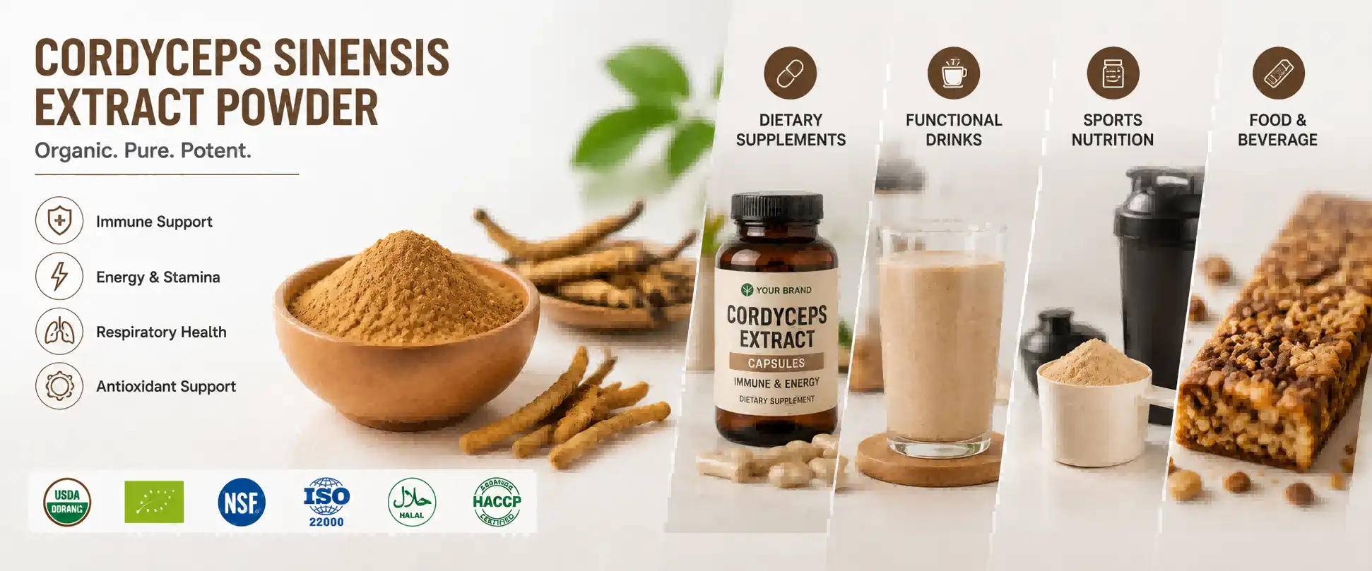 Cordyceps Sinensis Extract Powder Cordyceps Sinensis Extract Powder
