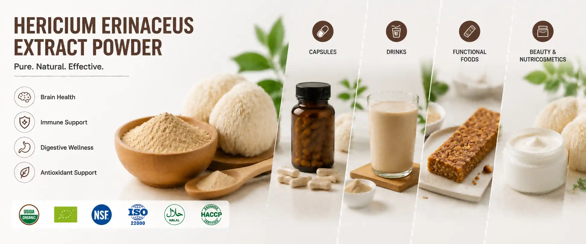 Hericium erinaceus extract powder Hericium erinaceus extract powder
