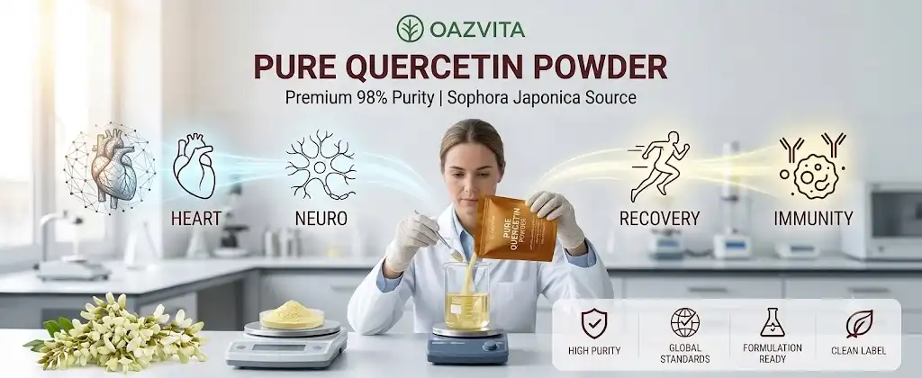Pure quercetin powder