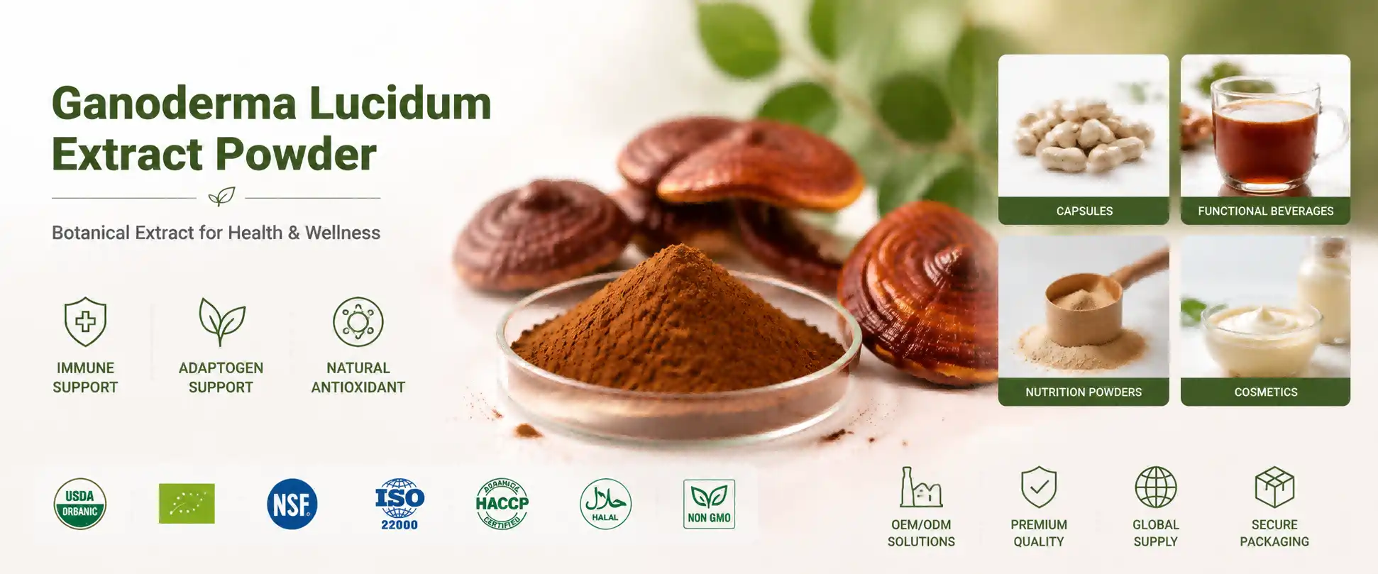 Ganoderma Lucidum Extract Powder