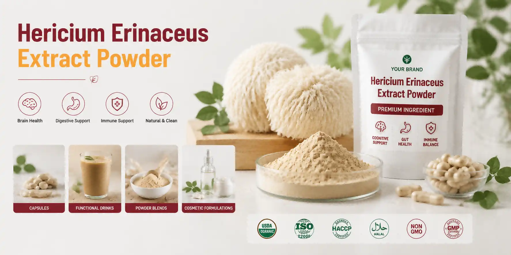 Hericium erinaceus extract powder