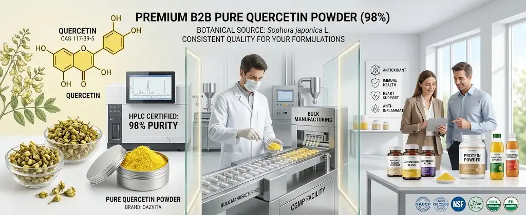 Pure quercetin powder Pure quercetin powder
