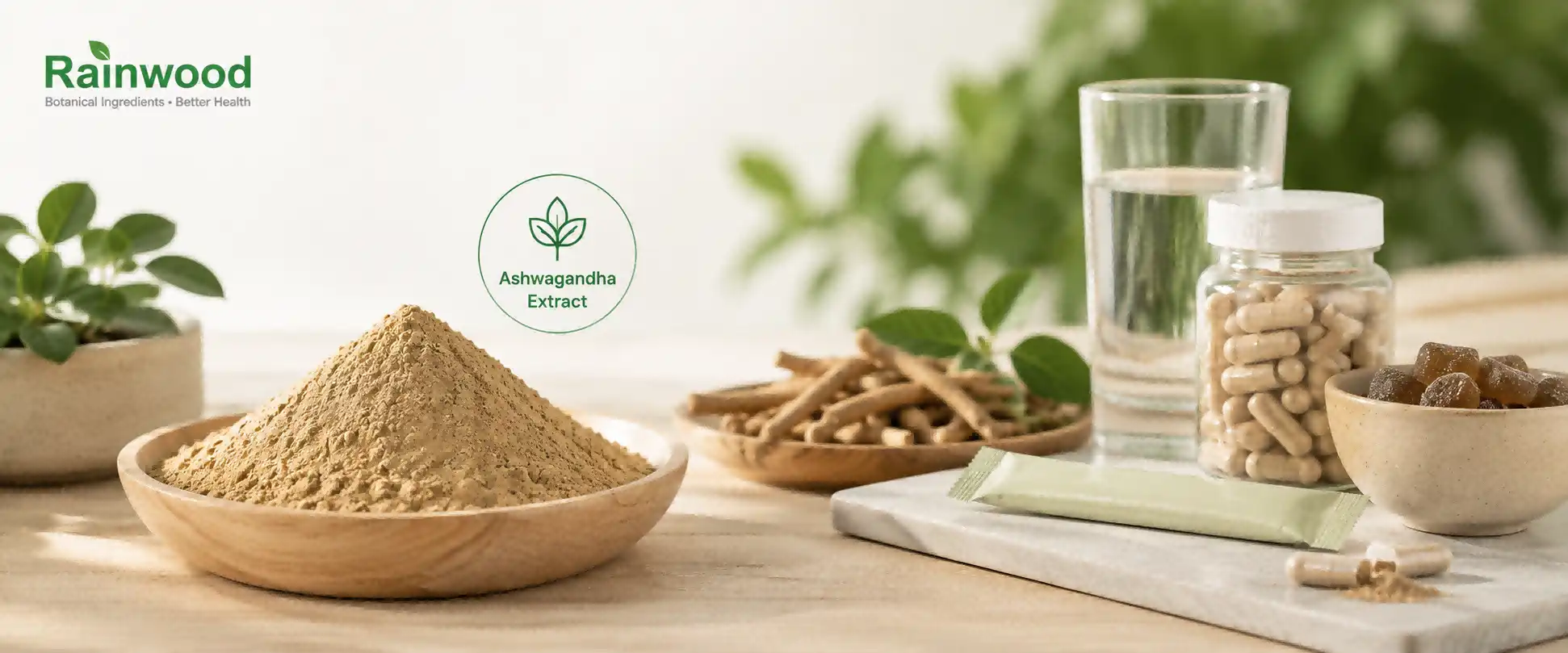 Organic Ashwagandha Extract Powder Organic Ashwagandha Extract Powder