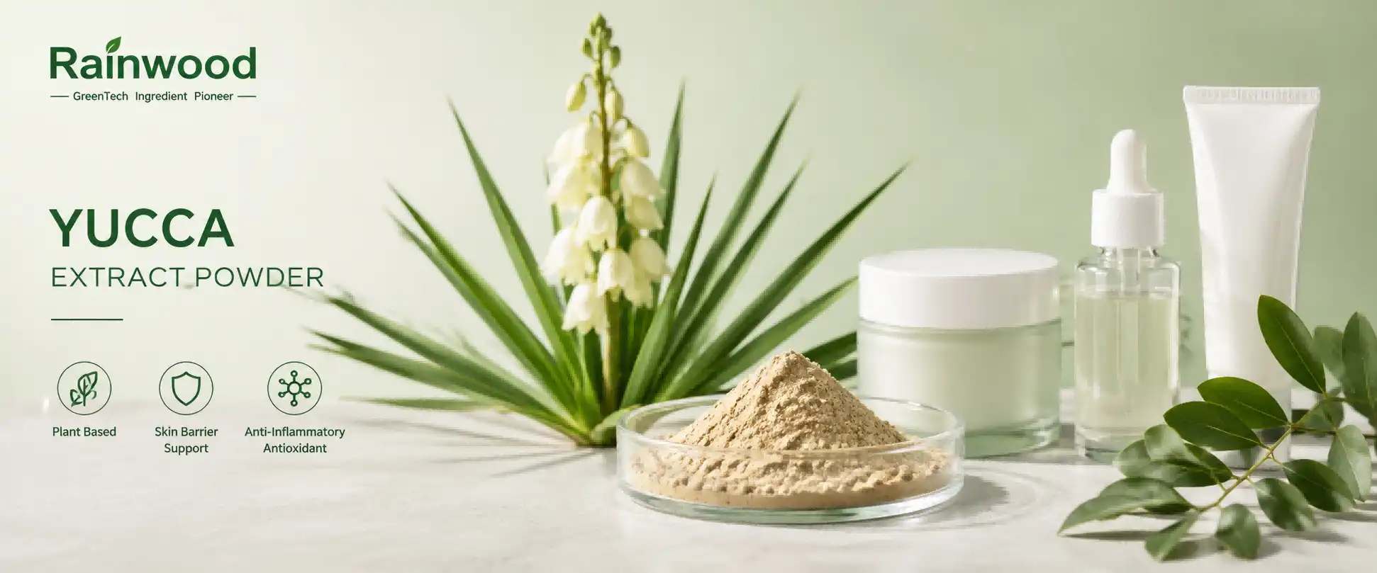 Yucca Extract Powder