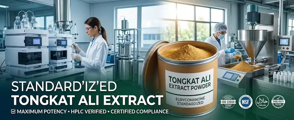 Tongkat ali extract powder